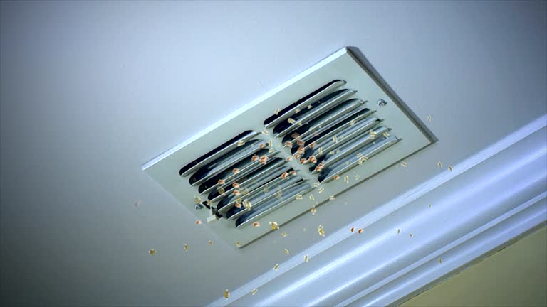 Best Local Air Duct Cleaning Services  in Hickman, NE