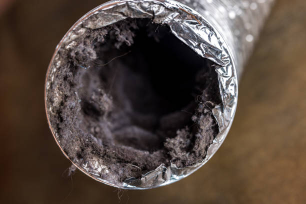 Best HVAC System Cleaning  in Hickman, NE